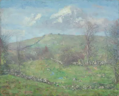 Spring on the Hillside