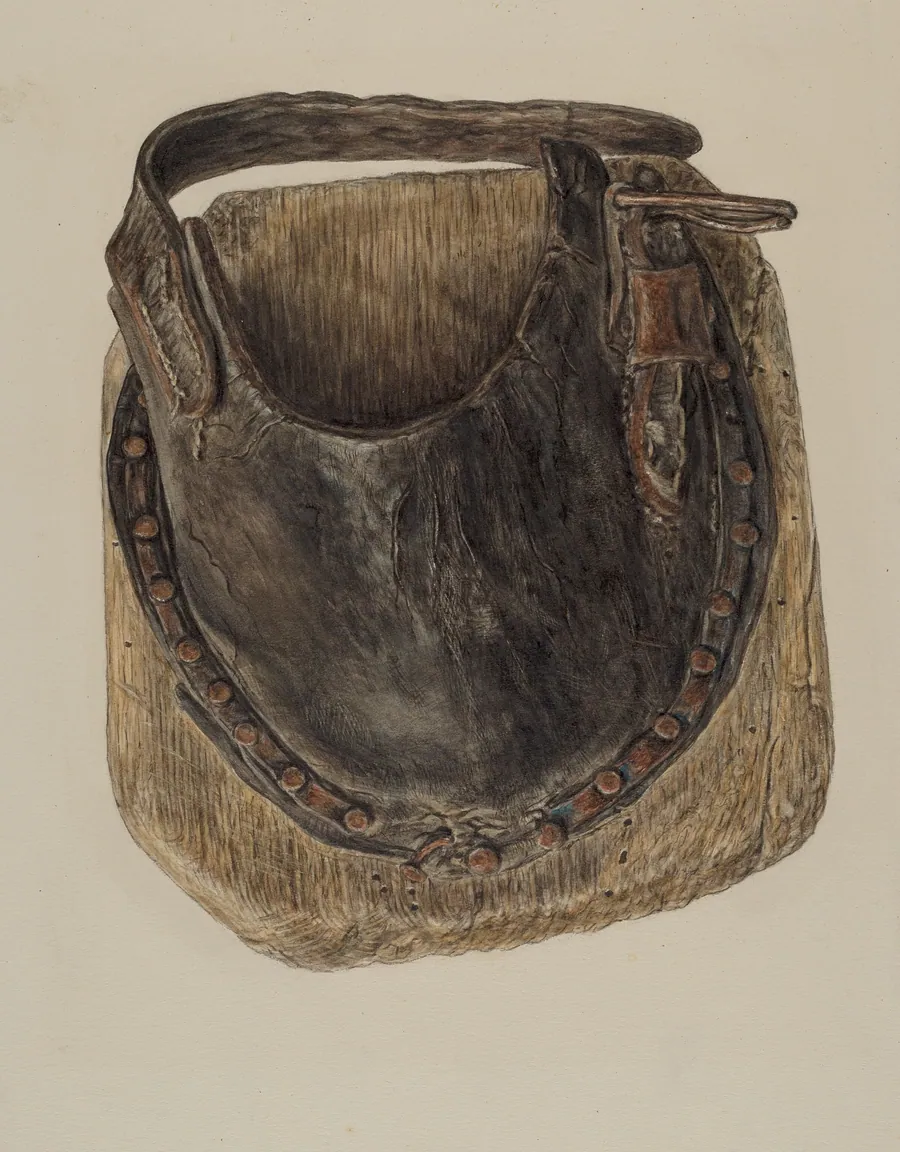 Swamp Shoe for Horse by Clarence Secor