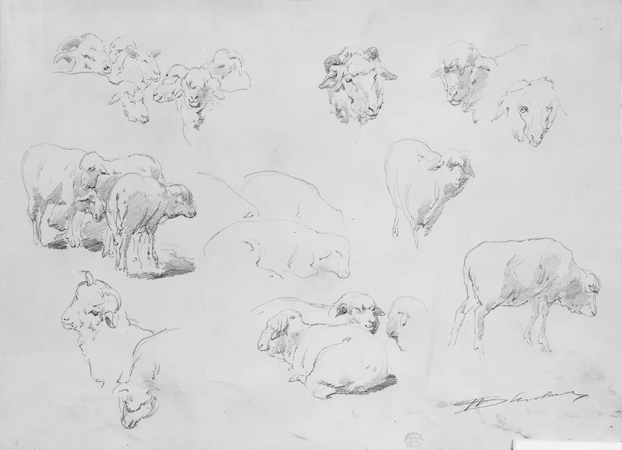 Studies of Sheep by Walter Shirlaw