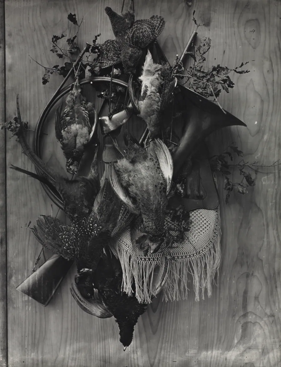 Trophy of the Hunt by Adolphe Braun