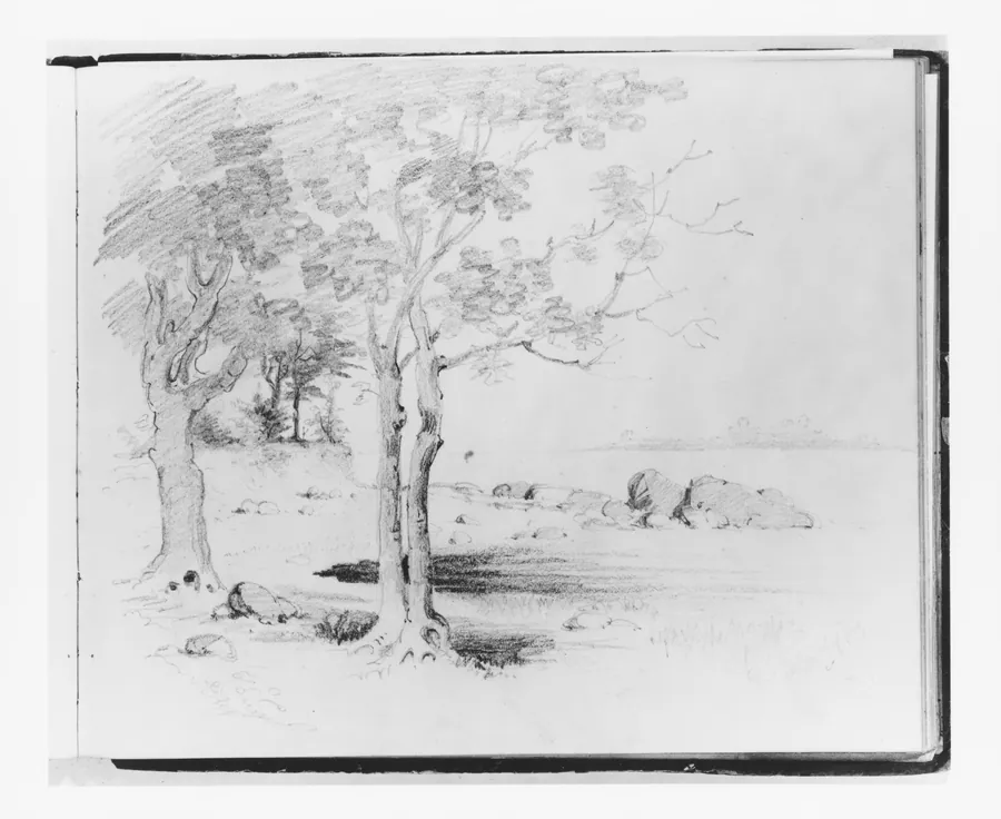 Landscape with Foreground Trees (from Sketchbook) by Francis William Edmonds