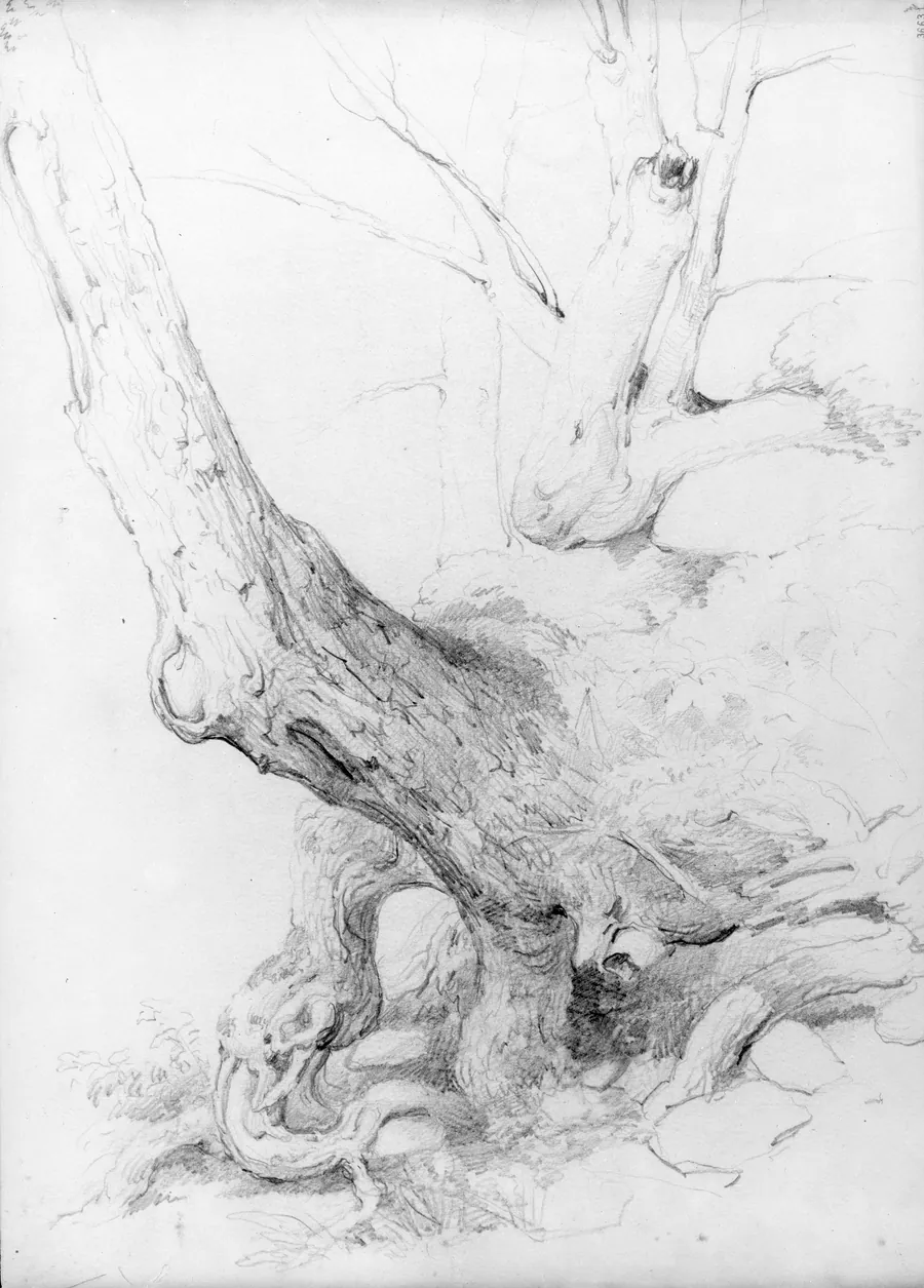 Sketch from Nature by Asher Brown Durand