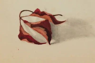 Untitled (Curled Autumn Leaves)