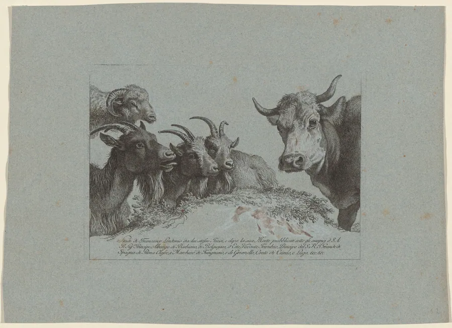 Study of Heads: Three Goats, an Ox, and a Ram by Francesco Londonio
