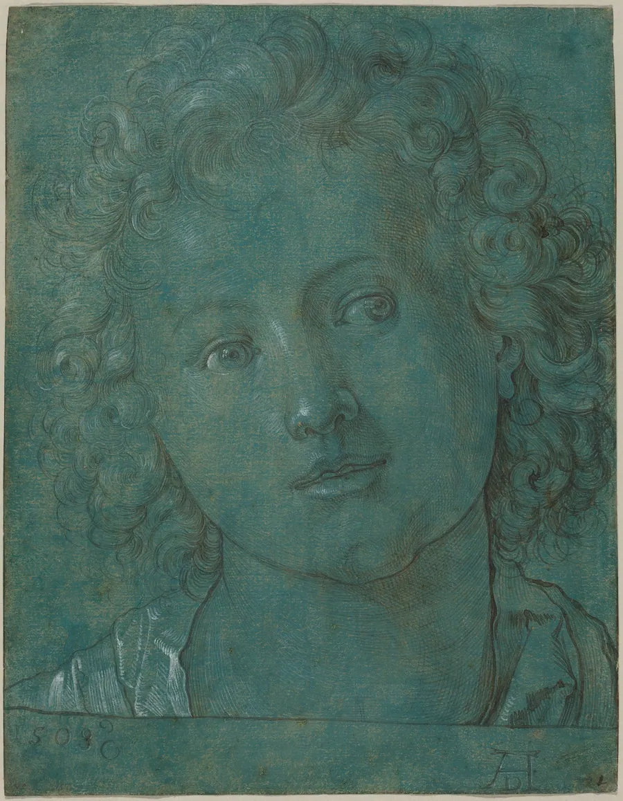 Head of a Boy by German 16th Century