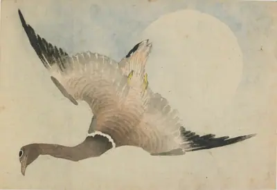 Goose flying in front of the moon