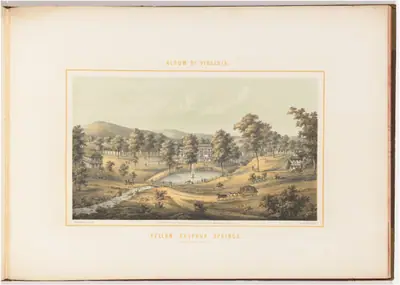 Yellow Sulphur Springs
