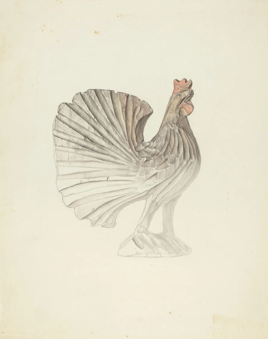 Rooster by Frank Budash