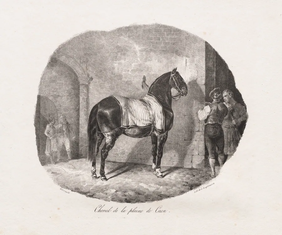 Lithographed Studies of Horses: Pl. 7, Horse from the Caen Plain by Théodore Géricault