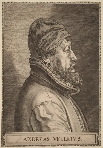 Andreas Velleius (Anders Sorensen Vedel)