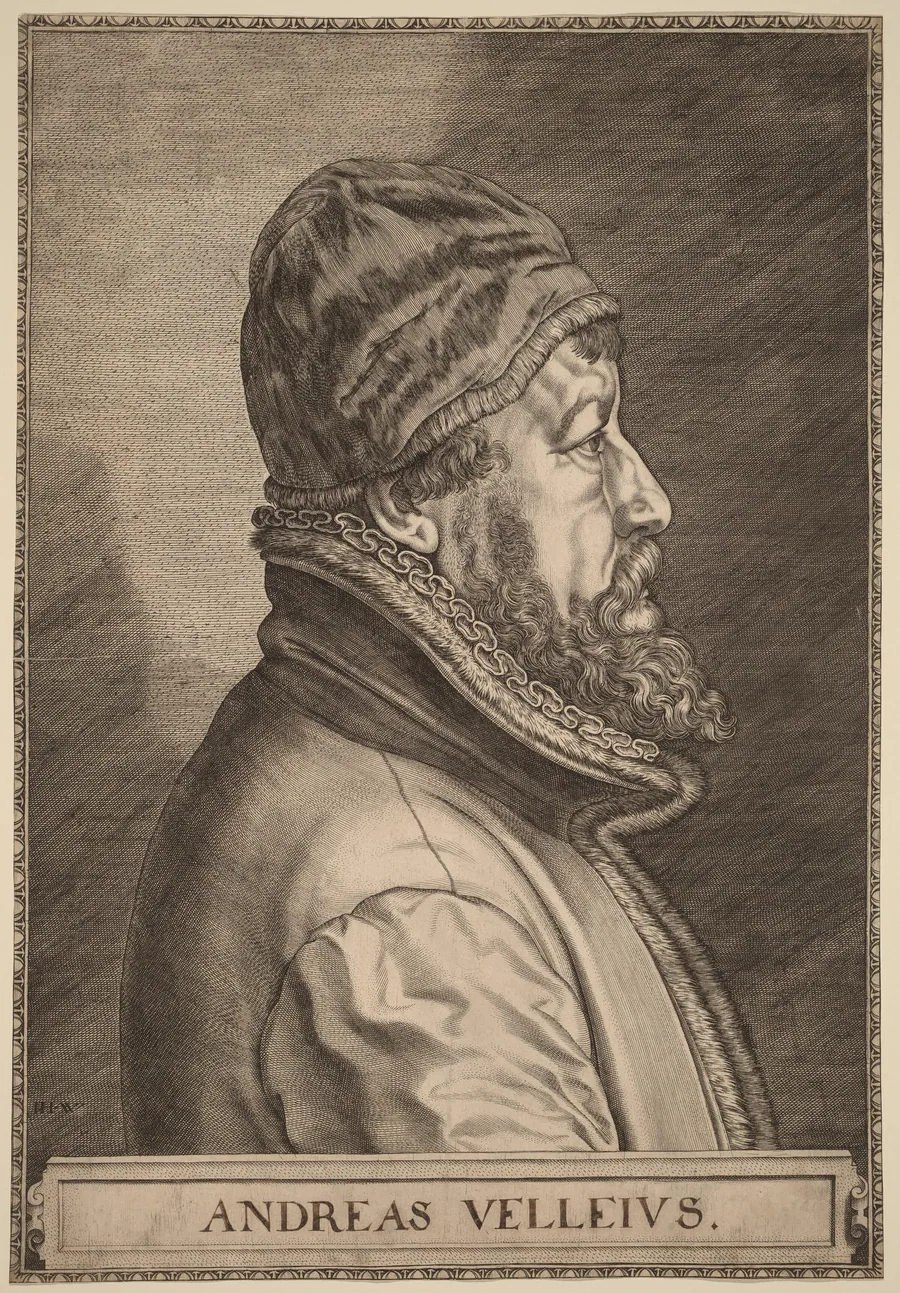 Andreas Velleius (Anders Sorensen Vedel) by Johan Wierix