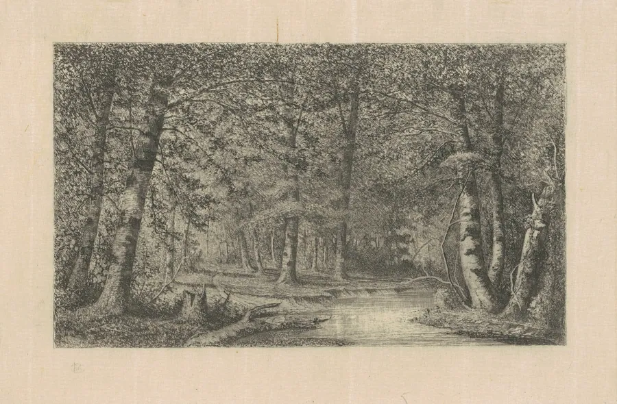 Beech Forest by Carl C. Brenner