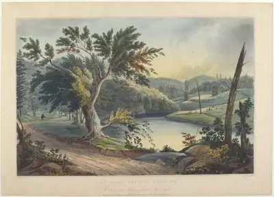 View near Jessup's Landing
