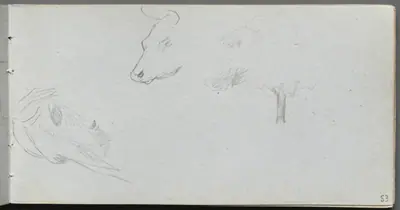 Sketchbook, page 53: Animal Studies and Tree Study