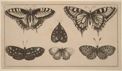 Five Butterflies and a Moth