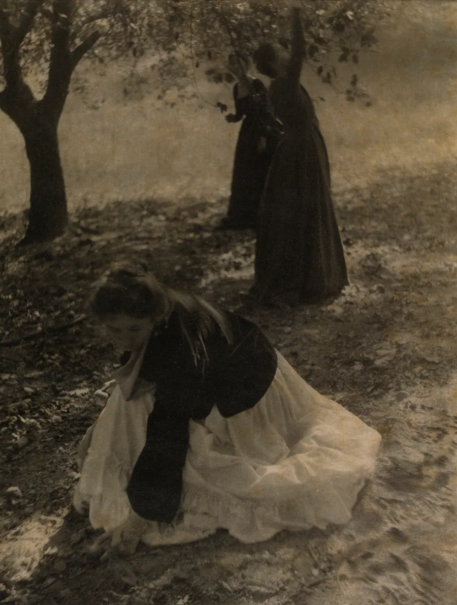 The Orchard by Clarence H. White