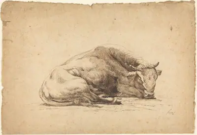 A Bull Sleeping