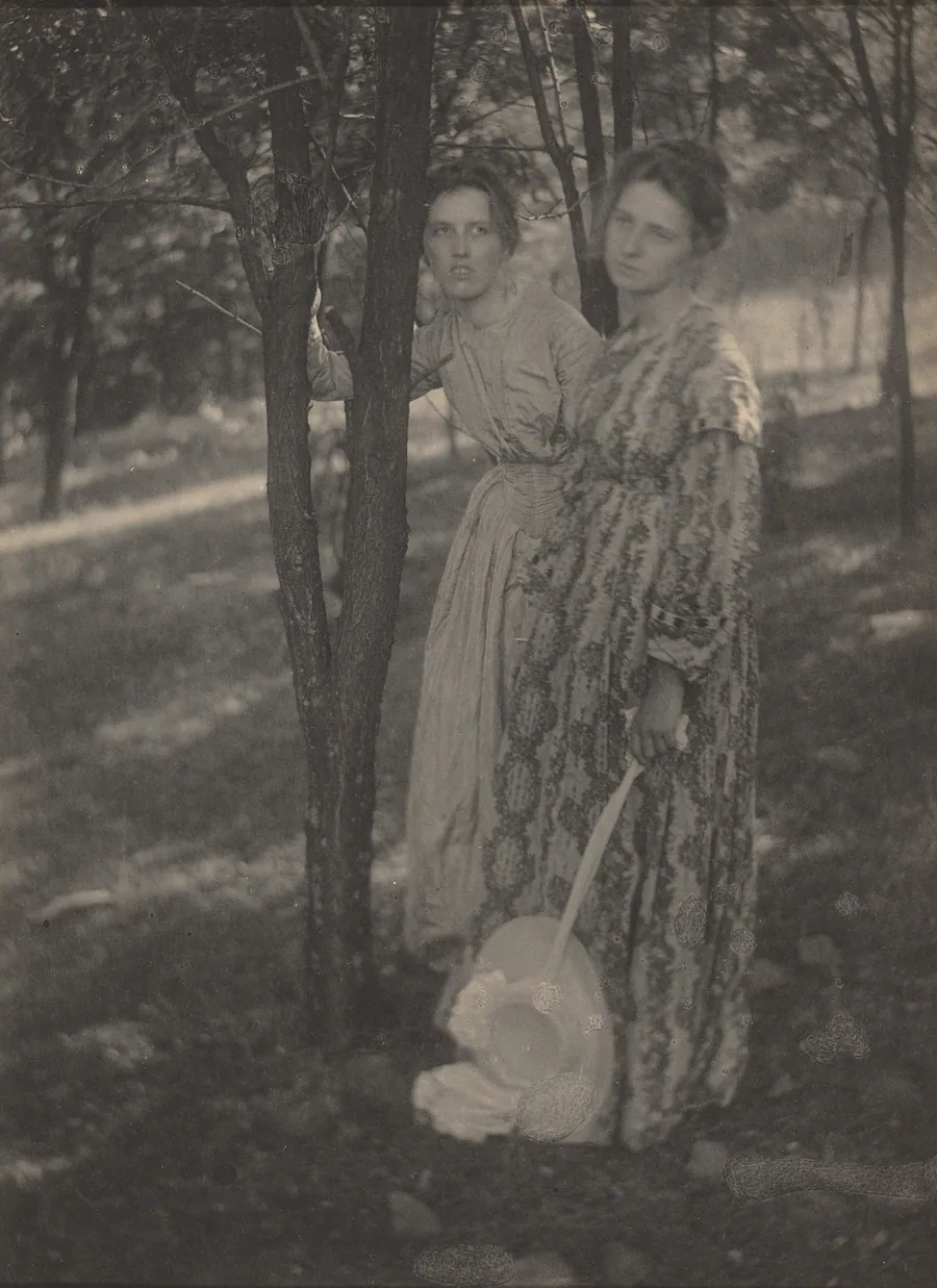 In the Woods by T. M. Edmiston