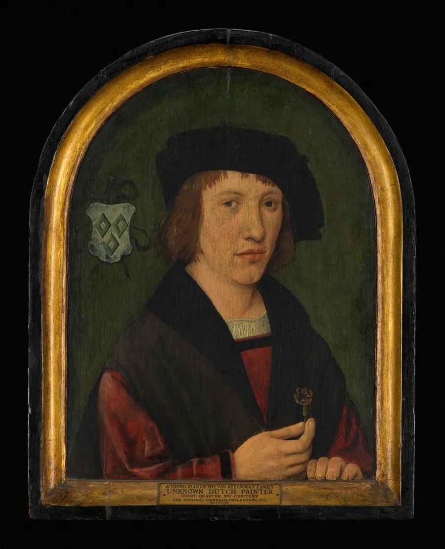 Portrait of a Young Man of the Van Steynoert Family by Netherlandish Painter
