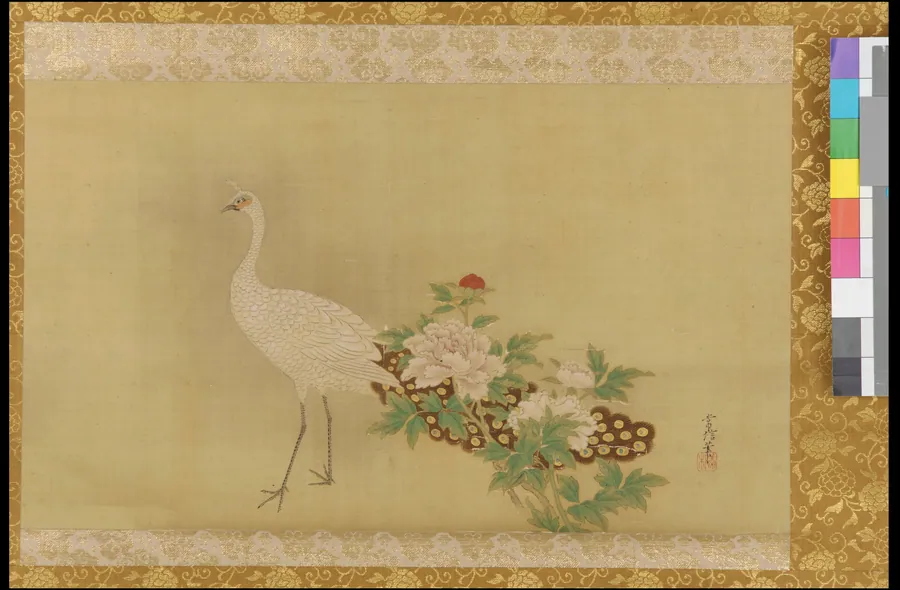 White peacock and peonies by Kano Tsunenobu 狩野常信 (1636-1713)