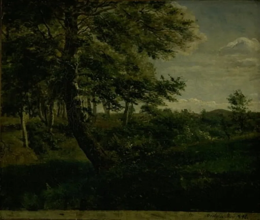 Fra Ørsbjerg skov ved Årup by Dankvart Dreyer
