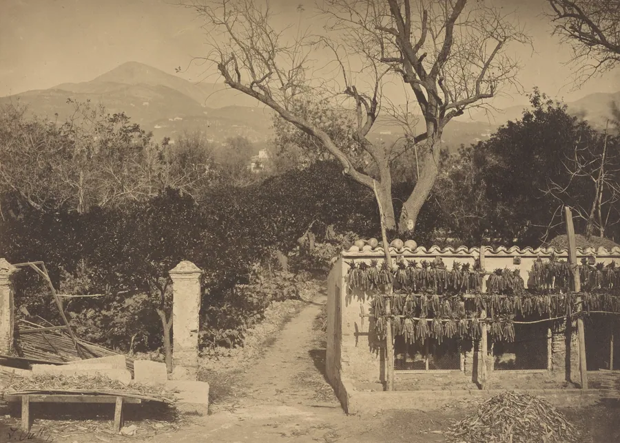 Agricultural Scene with Mountains by Louis Crette