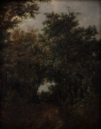 Vej i en egeskov