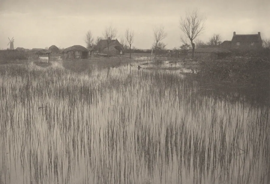 A Rushy Shore by Peter Henry Emerson