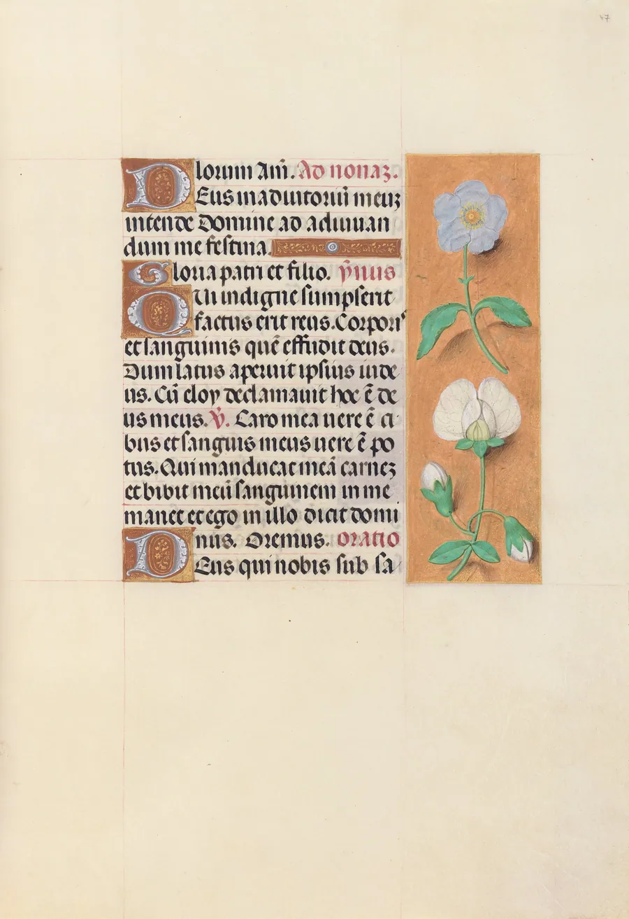 Hours of Queen Isabella the Catholic, Queen of Spain:  Fol. 47r by Master of the First Prayerbook of Maximillian