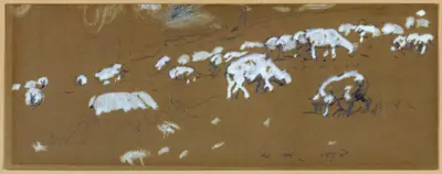 Sheep