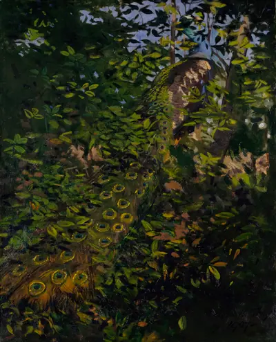 Peacock in the Woods, study for book Concealing Coloration in the Animal Kingdom