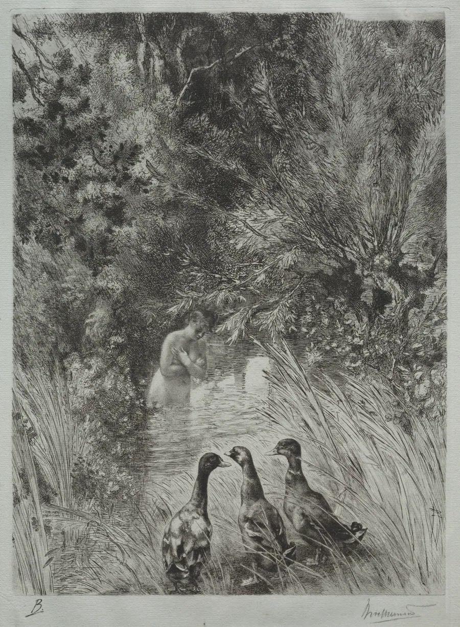 The Surprised Ducks by Félix Bracquemond