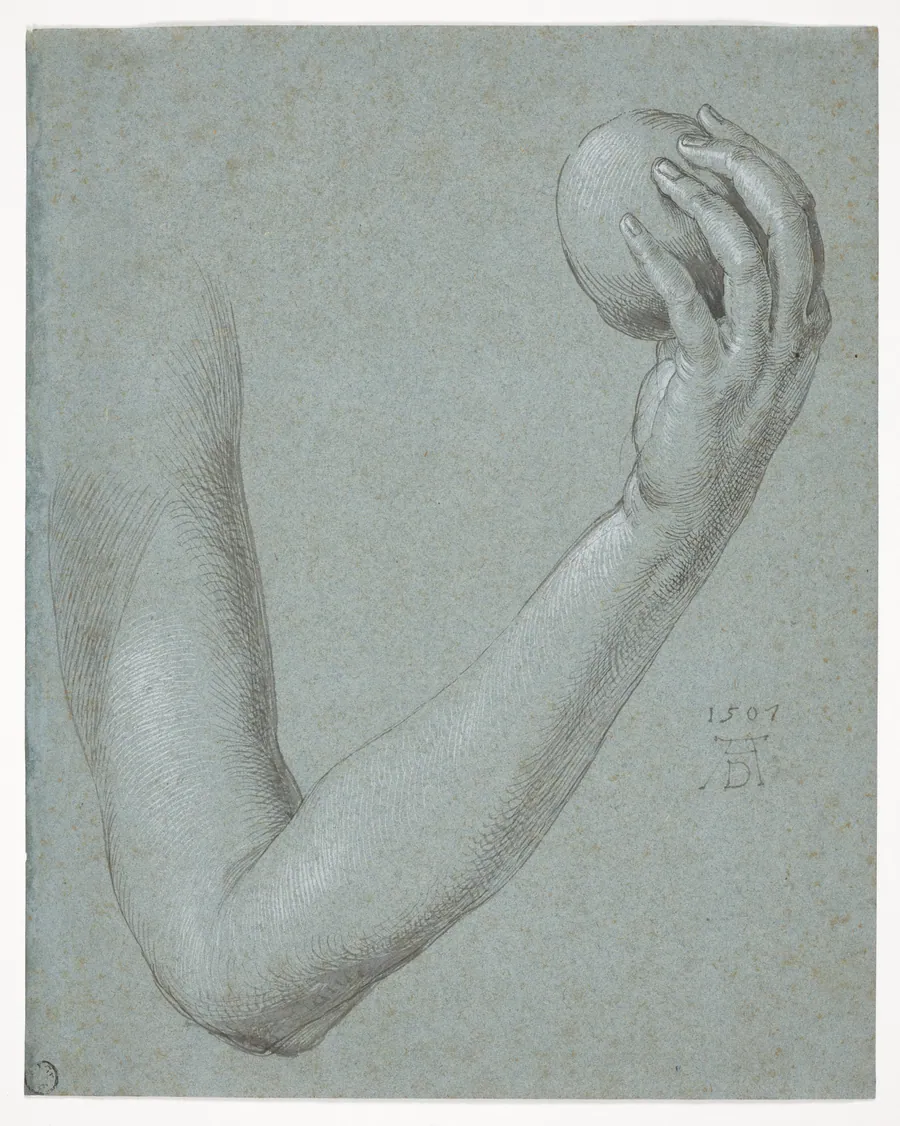 Arm of Eve by Albrecht Dürer