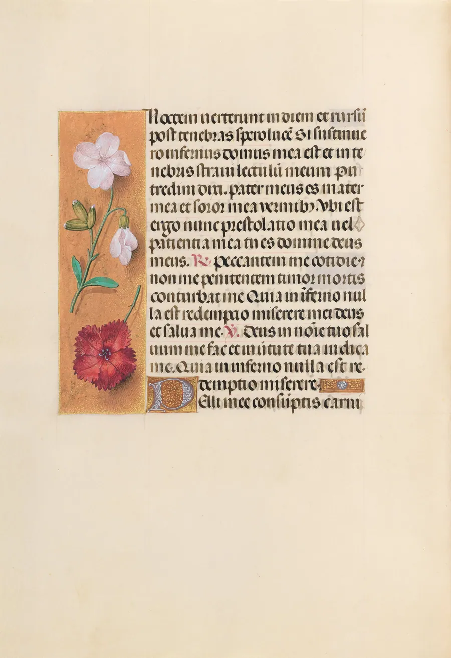 Hours of Queen Isabella the Catholic, Queen of Spain:  Fol. 244v by Master of the First Prayerbook of Maximillian