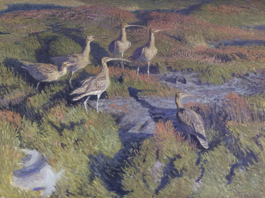 Regnspover klar til at lette by Vilhelm Th. Fischer