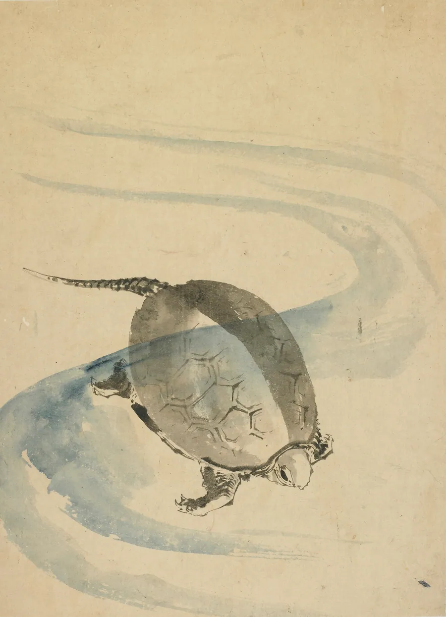 A Tortoise by Katsushika Hokusai 葛飾北斎 (1760-1849)