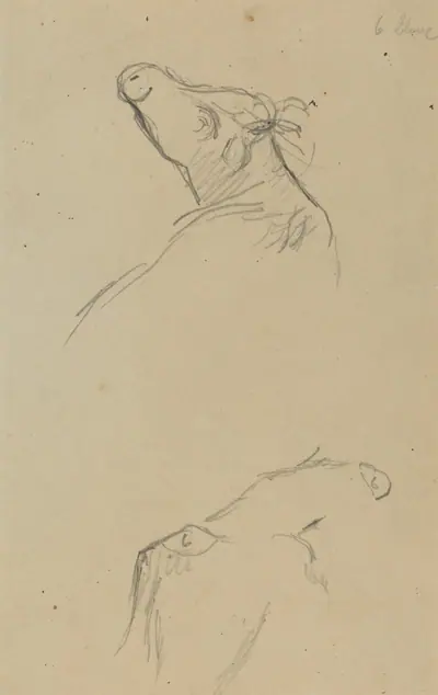 Two Cow's Heads [verso]