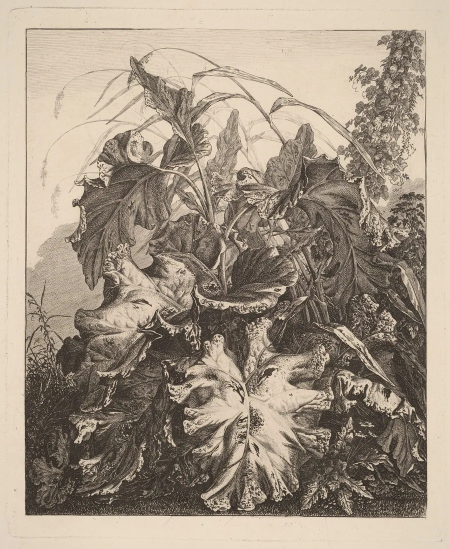 Foliage with Reeds by Carl Wilhelm Kolbe