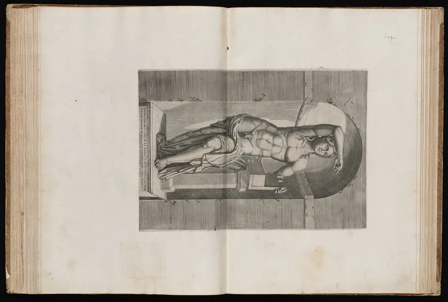 The Farnese Apollo, called 'Hermaphroditus' by Italian 16th Century