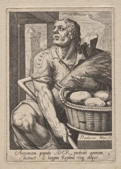 Plate 9: Asher