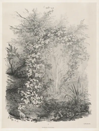 Plants and Ivies by a Stream