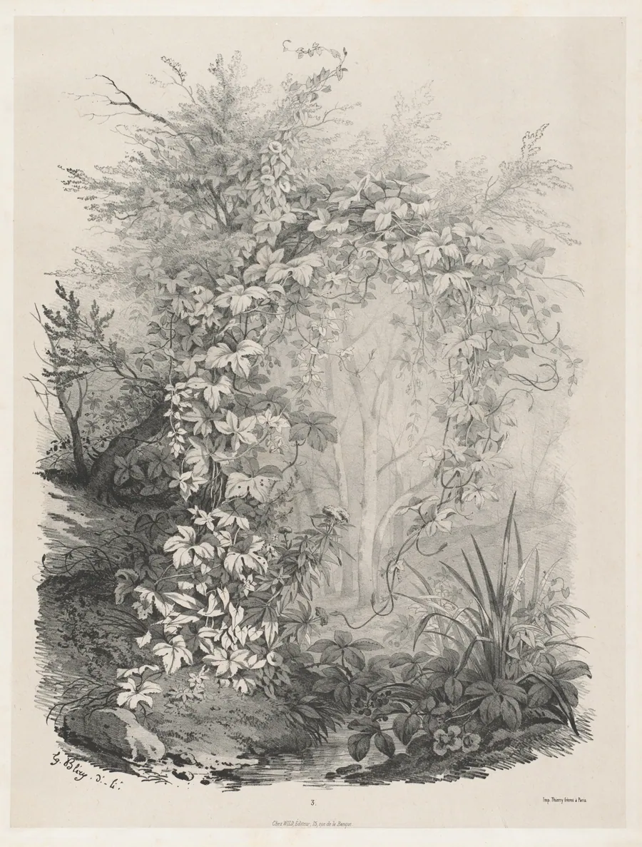 Plants and Ivies by a Stream by Eugène Bléry