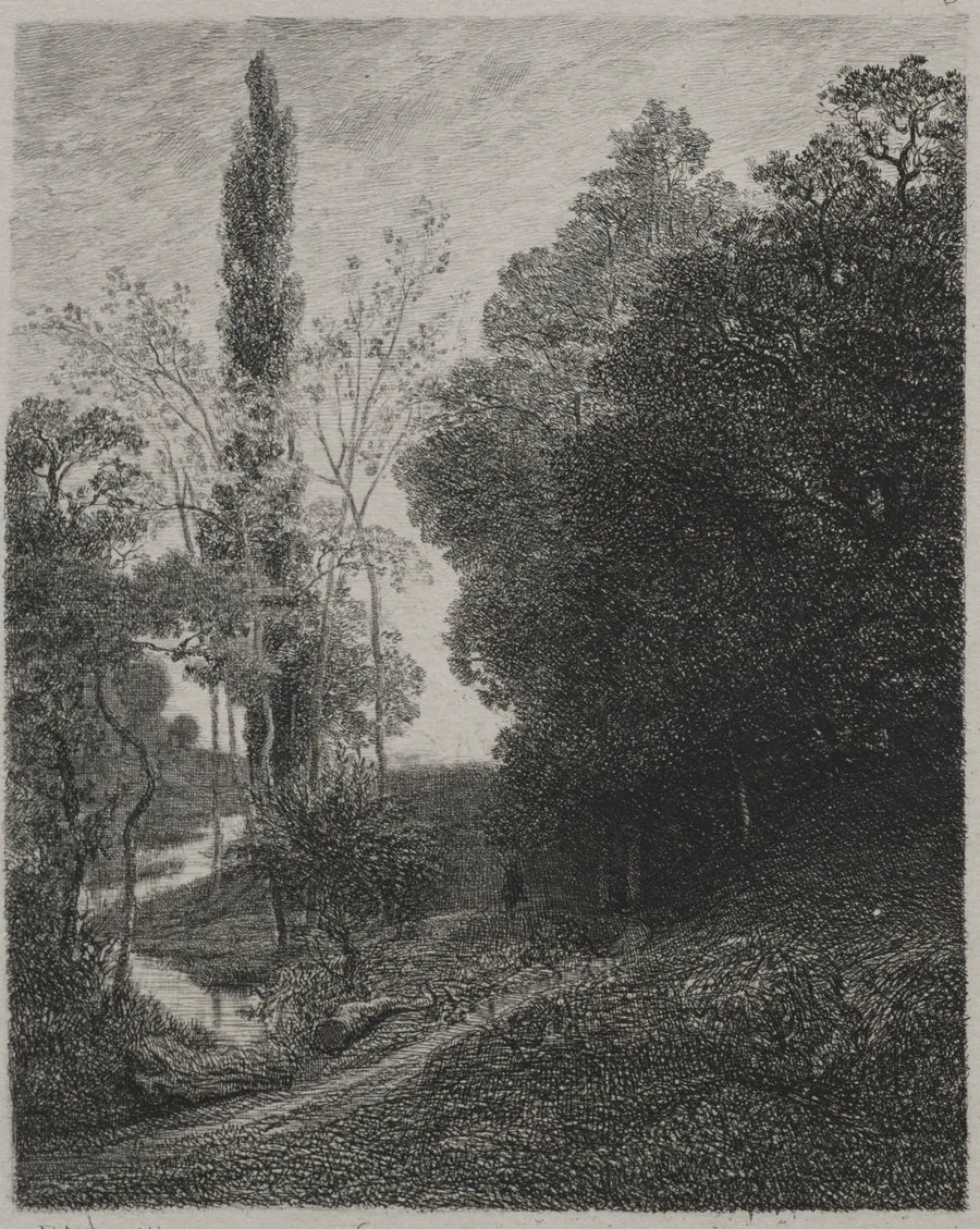 Banks of the River Cousin by Charles François Daubigny