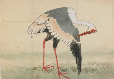 Crane