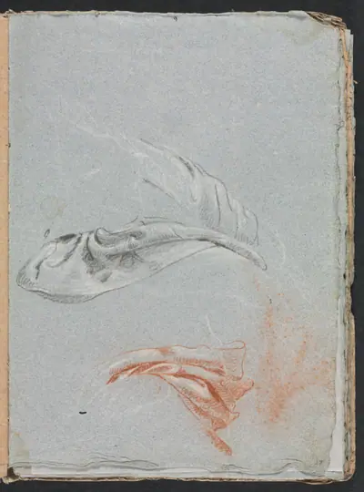 Verona Sketchbook: Drapery studies (page 17)