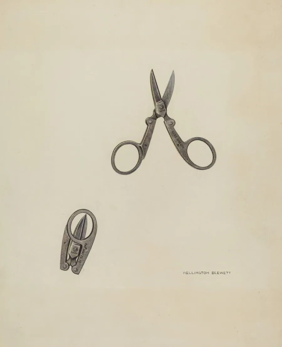 Scissors by Wellington Blewett