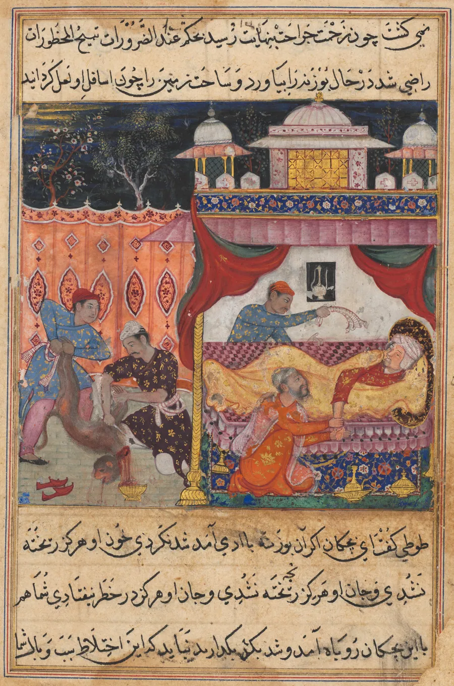 The monkey slain, his blood to be used as medicine for the ailing prince he has bitten, from a Tuti-nama (Tales of a Parrot): Fifth Night by Basawan​
