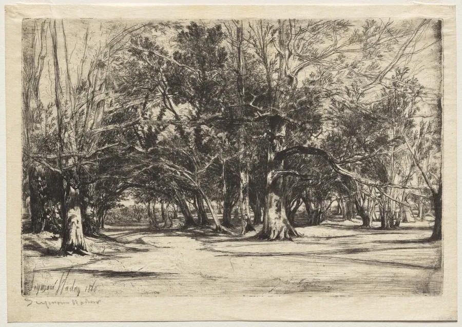 A By-Road in Tipperary by Francis Seymour Haden
