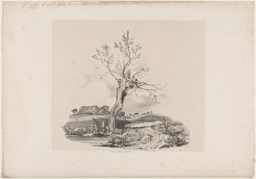 Wild Willow Tree by the Water by Carl August Lebschée