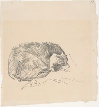 A Cat Curled Up, Sleeping